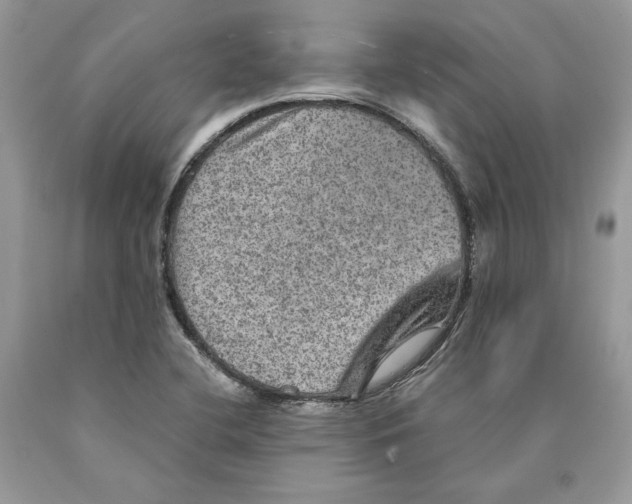 X0000089971412200707271912