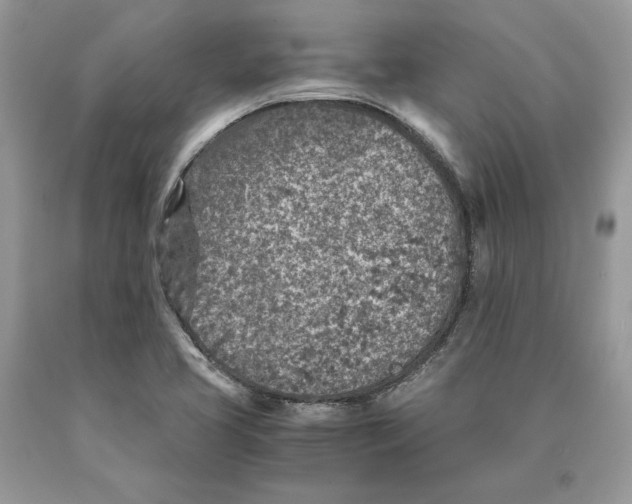 X0000089971413200707271912