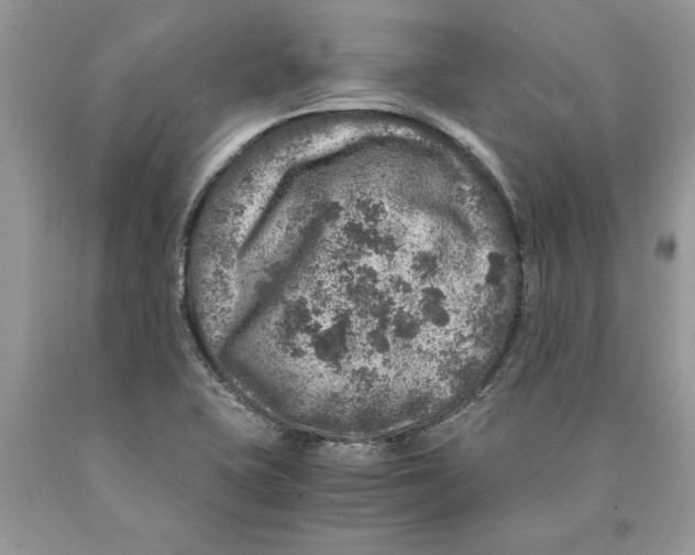 X0000089971415200707271912