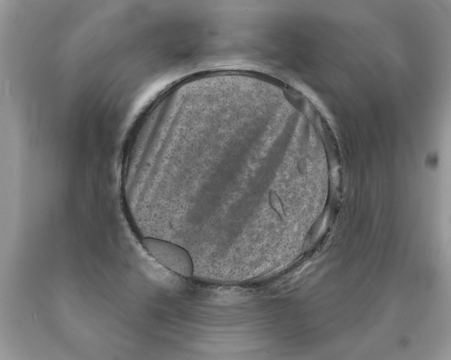 X0000089971416200707271912