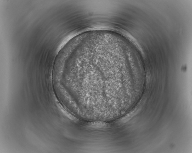 X0000089971417200707271912