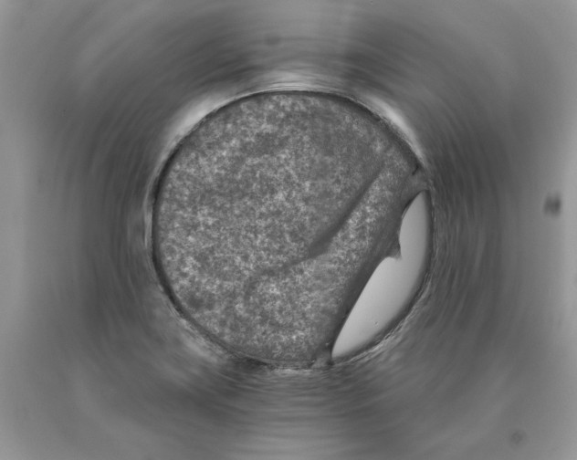 X0000089971419200707271912