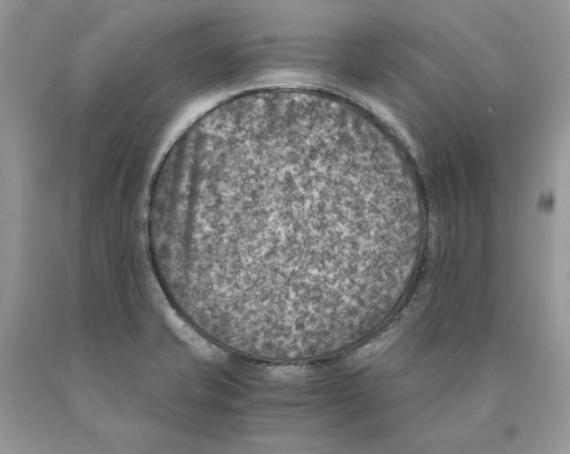 X0000089971421200707271912