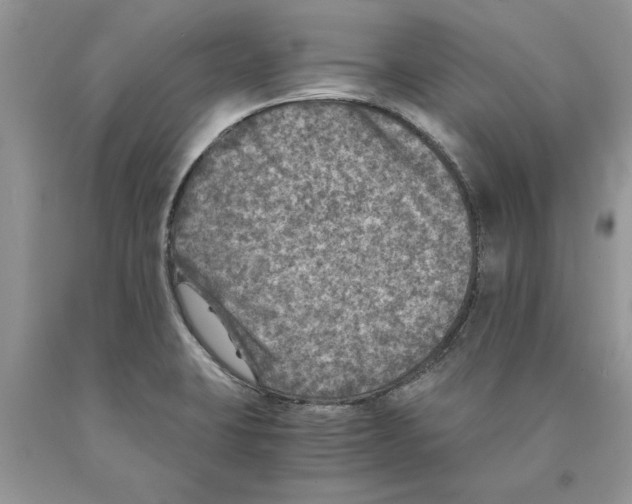 X0000089971423200707271912