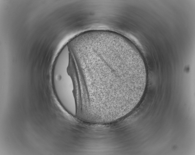 X0000089971424200707271912