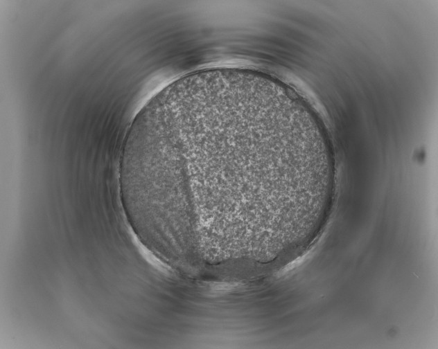 X0000089971425200707271912