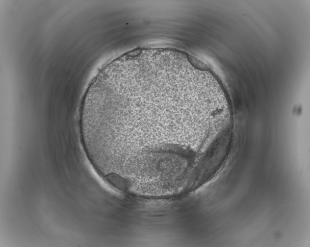 X0000089971429200707271912