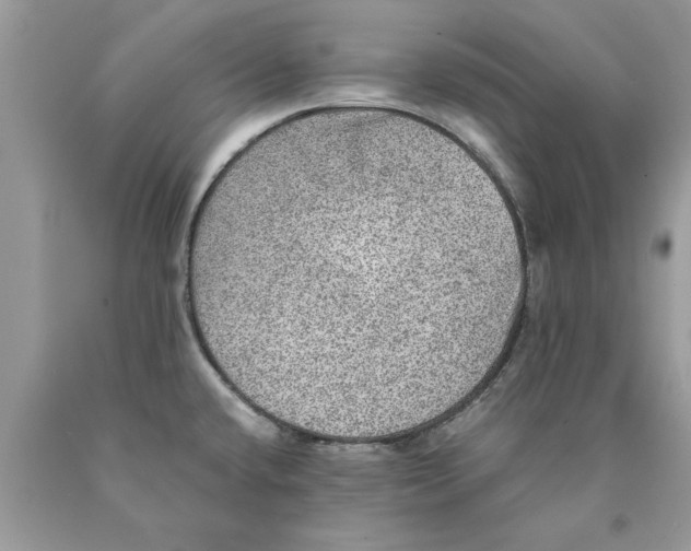 X0000089971432200707271912