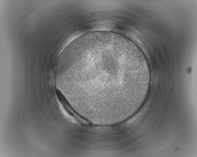 X0000089971433200707271912