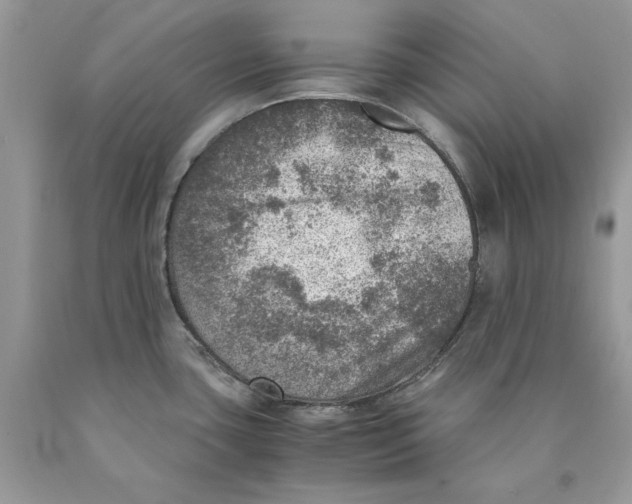 X0000089971435200707271912