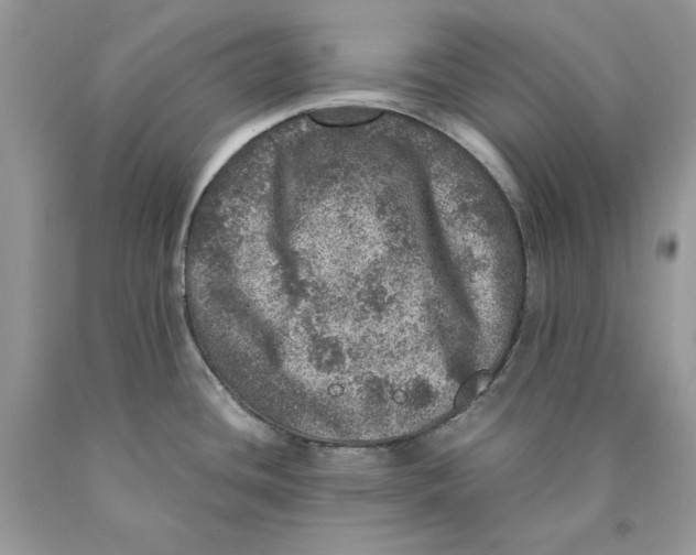 X0000089971436200707271912