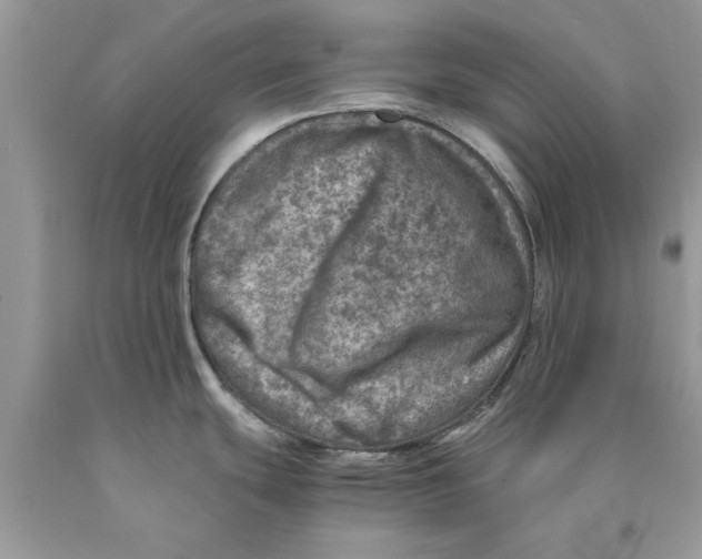 X0000089971439200707271912