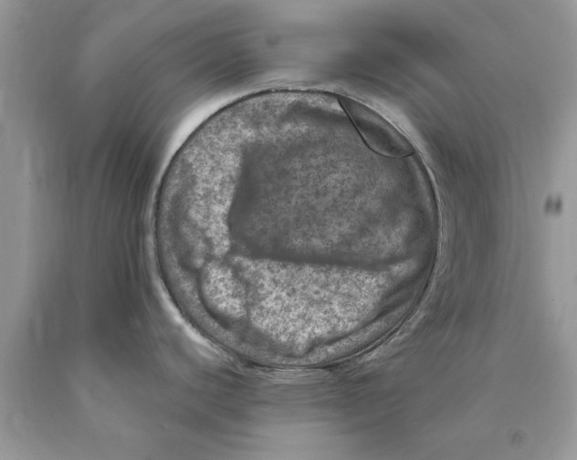 X0000089971440200707271912