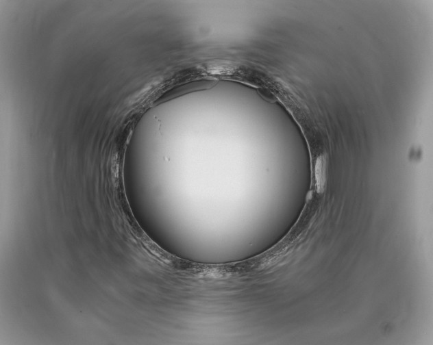 X0000089971443200707271912