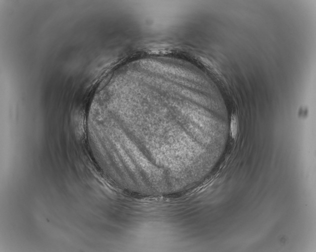 X0000089971444200707271912