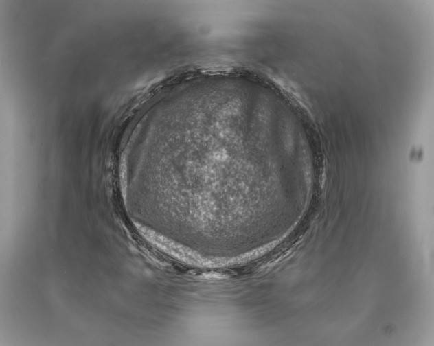 X0000089971445200707271912