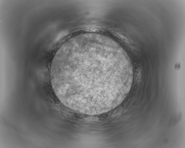 X0000089971446200707271912