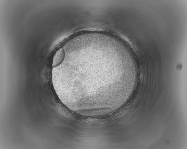 X0000089971448200707271912