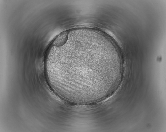 X0000089971450200707271912