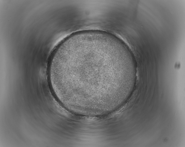 X0000089971452200707271912