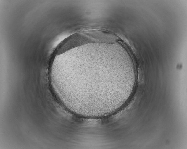 X0000089971453200707271912