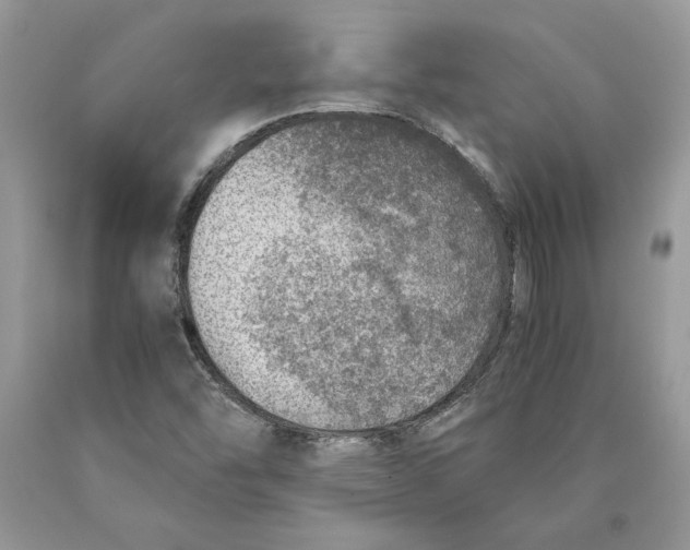 X0000089971454200707271912