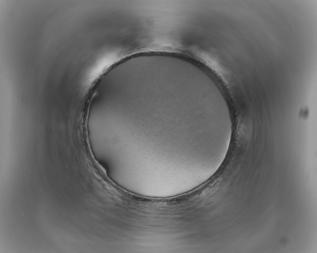 X0000089971455200707271912