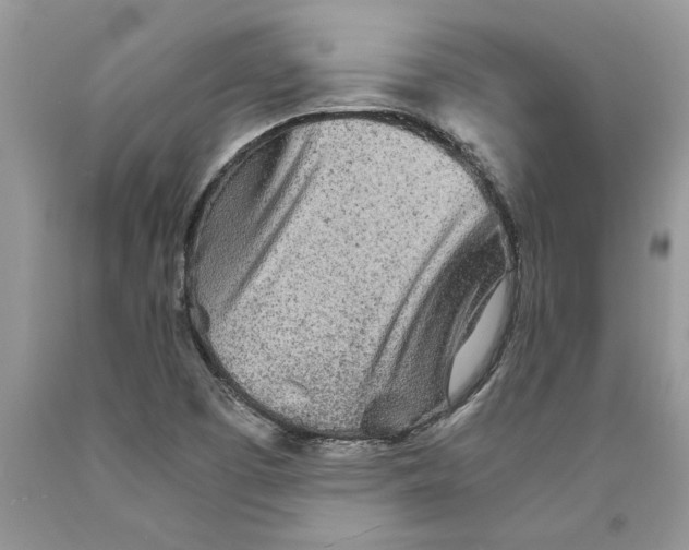 X0000089971457200707271912