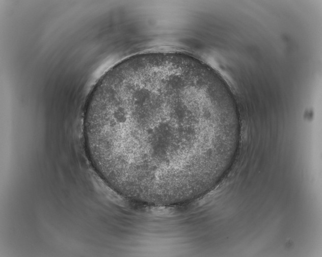 X0000089971459200707271912