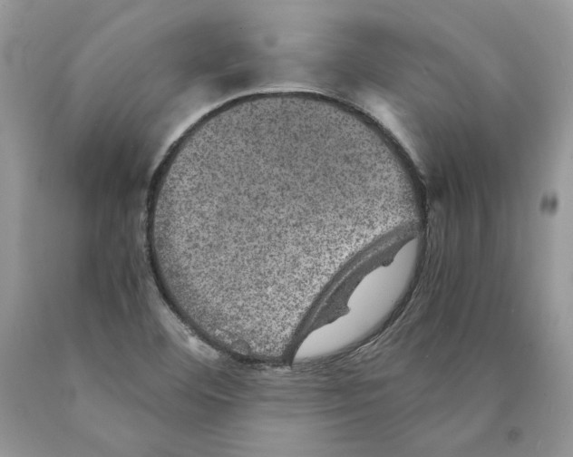 X0000089971460200707271912