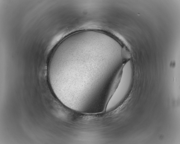 X0000089971461200707271912