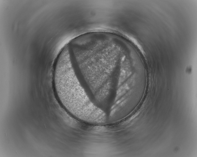 X0000089971463200707271912