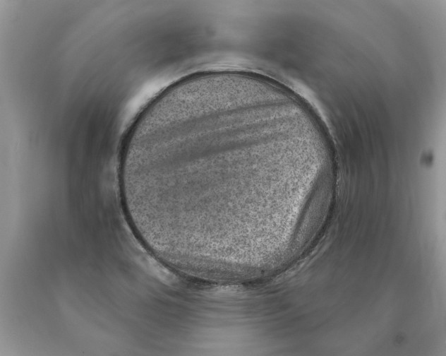 X0000089971464200707271912