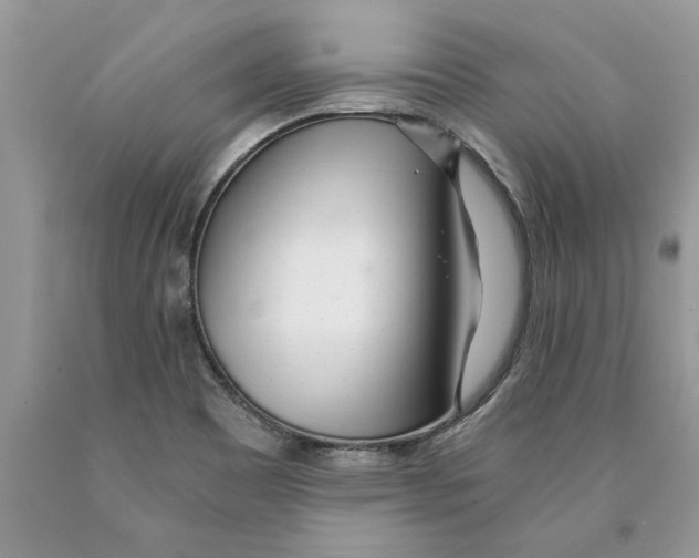 X0000089971465200707271911