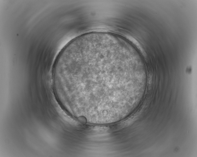 X0000089971466200707271911