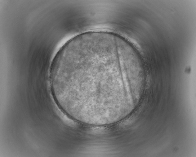 X0000089971470200707271911