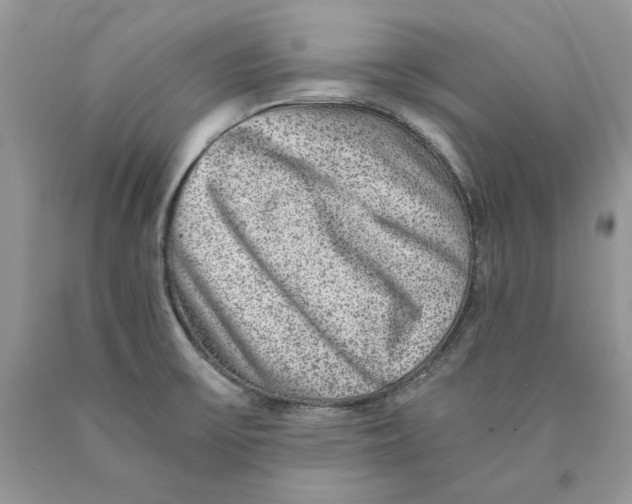 X0000089971475200707271911