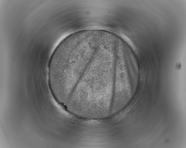 X0000089971476200707271911