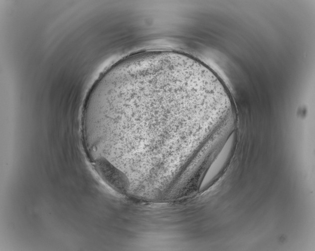 X0000089971477200707271911