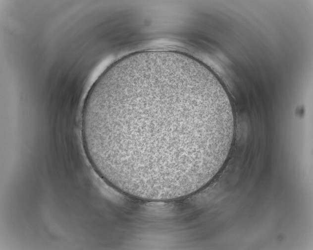 X0000089971478200707271911