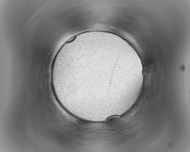 X0000089971479200707271911