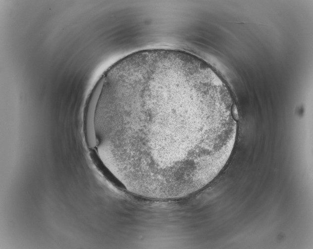 X0000089971480200707271911