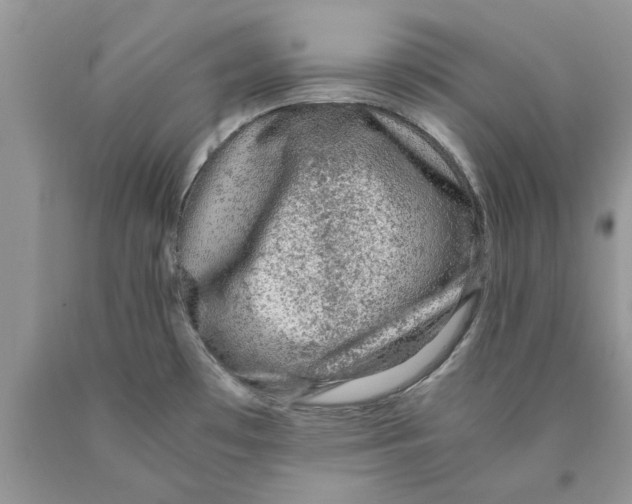 X0000089971481200707271911