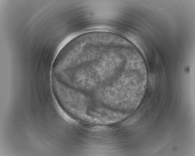 X0000089971482200707271911