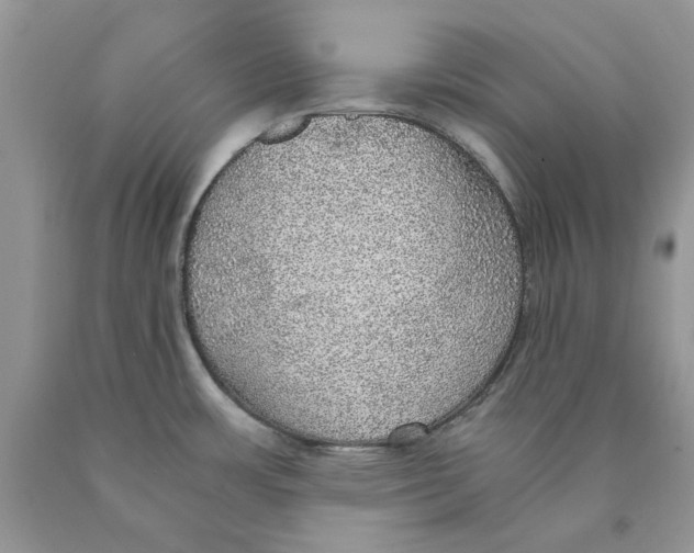 X0000089971483200707271911