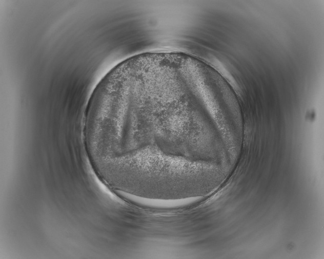 X0000089971484200707271911