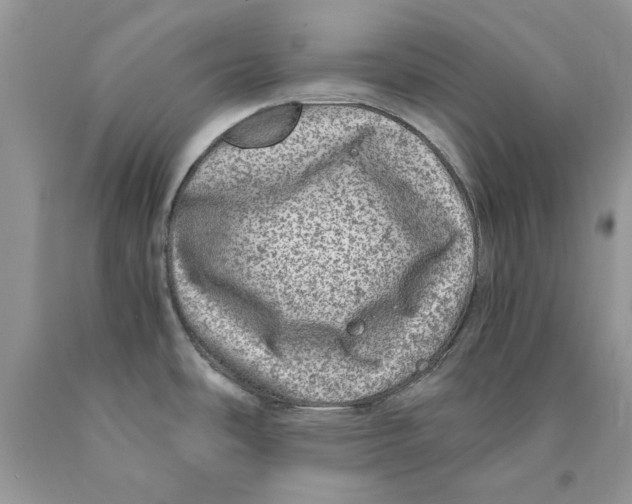 X0000089971486200707271911