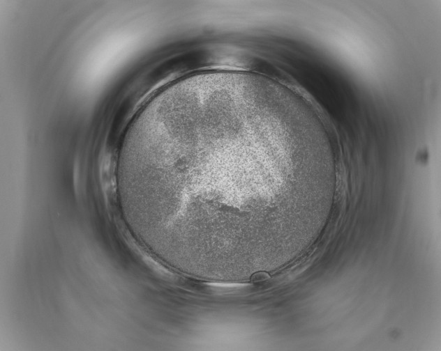 X0000089971487200707271911