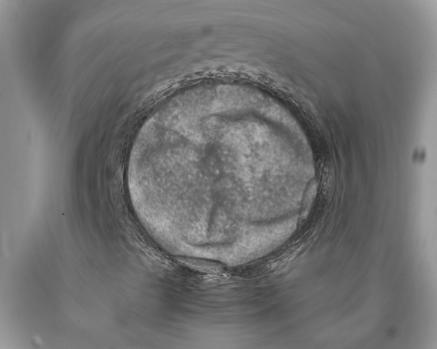 X0000089971489200707271911