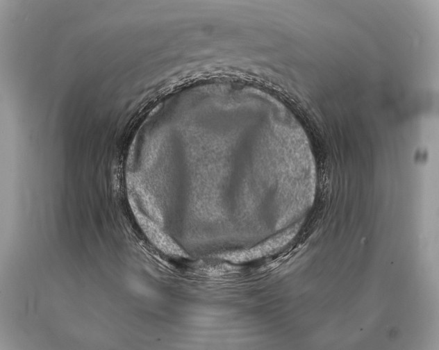 X0000089971490200707271911